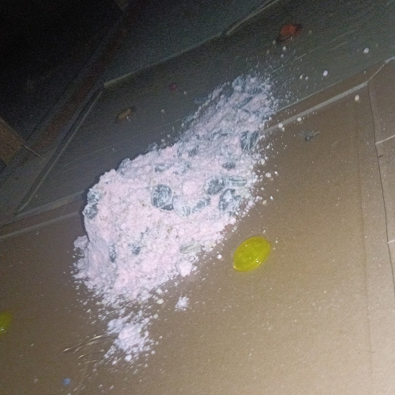 粘着シートの上に殺鼠剤を設置