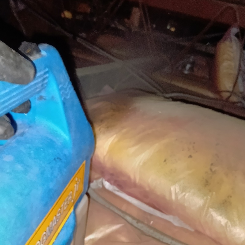 噴霧器で除菌・消臭剤を散布