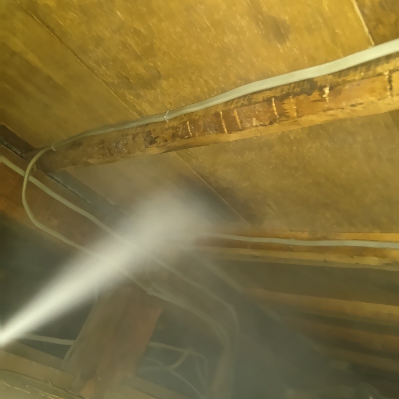 忌避剤をスプレー