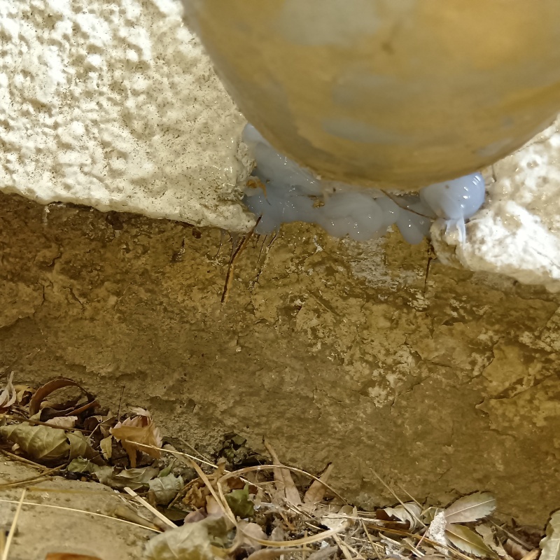 配管まわりのすき間を封鎖