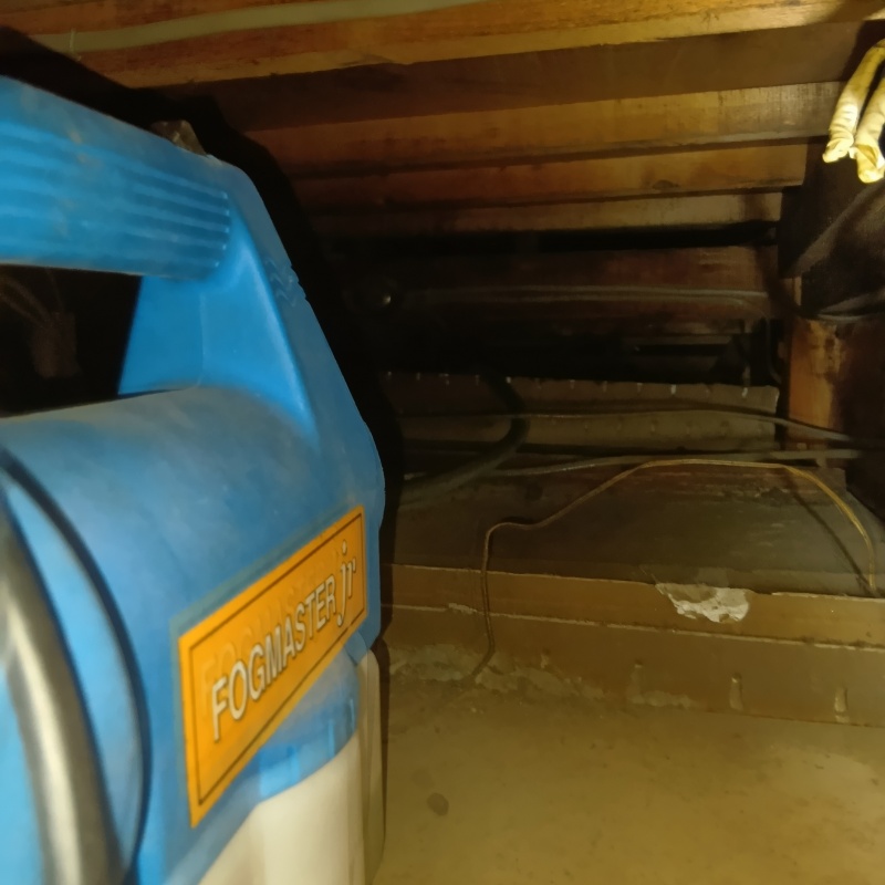 噴霧器で除菌剤を散布