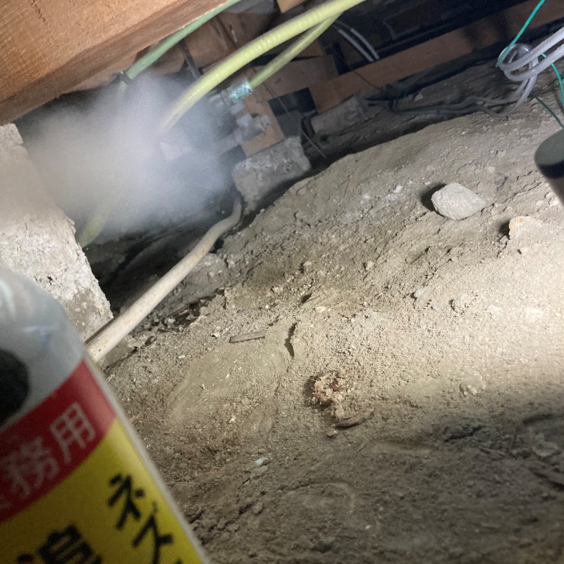 忌避スプレーを散布