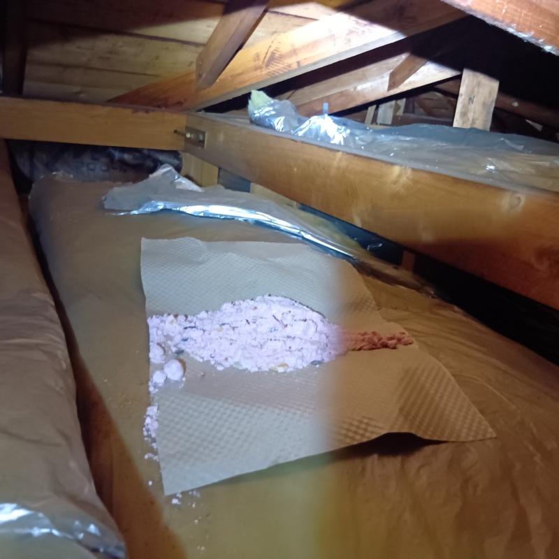 屋根裏に殺鼠剤を設置