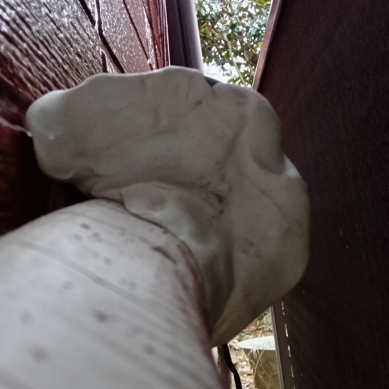 配管のすき間を封鎖