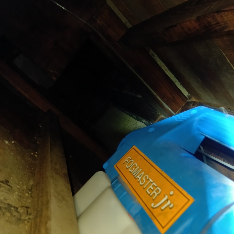 噴霧器で除菌剤を散布