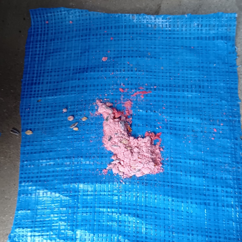 ネズミが殺鼠剤を食べたあと