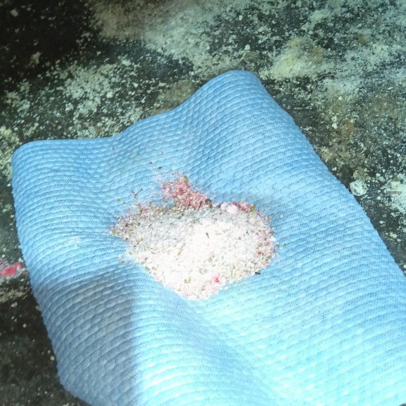 床下に殺鼠剤を設置