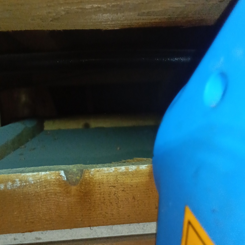 噴霧器で殺虫剤を散布