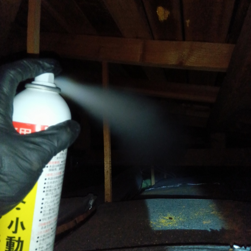 天井裏に忌避スプレーを散布