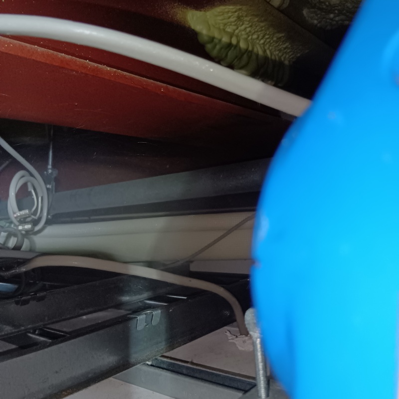 噴霧器で除菌剤を散布