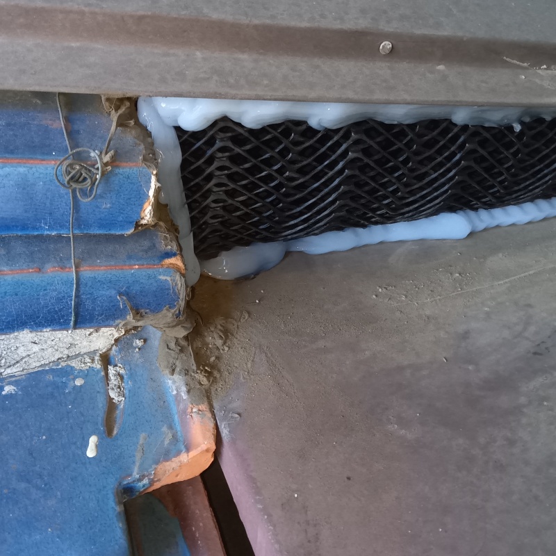 屋根付近のすき間をネット封鎖