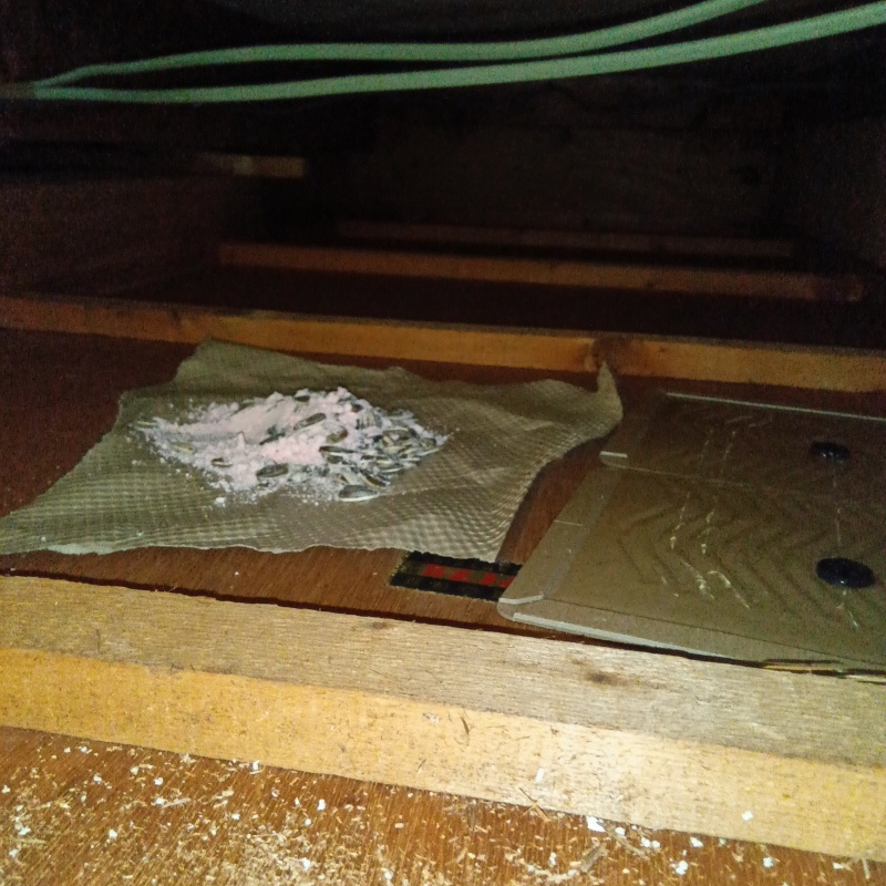 殺鼠剤と粘着シートを設置