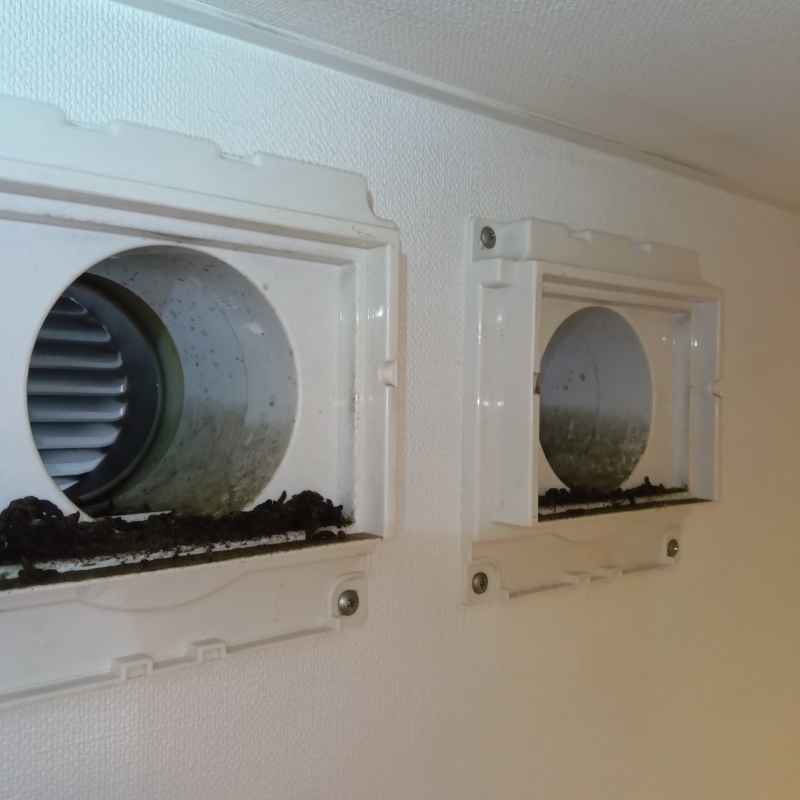 コウモリ駆除の施工事例（愛知県岡崎市橋目町神田）