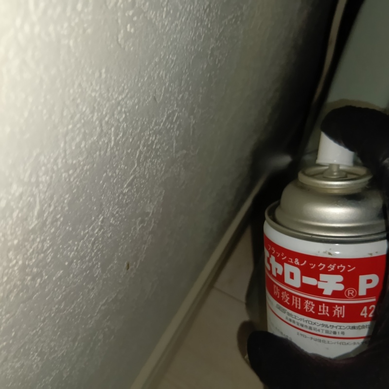 壁のすき間に殺虫剤をスプレー
