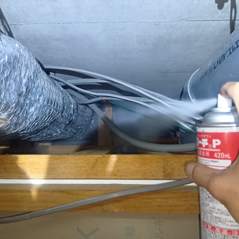 天井裏に殺虫剤をスプレー