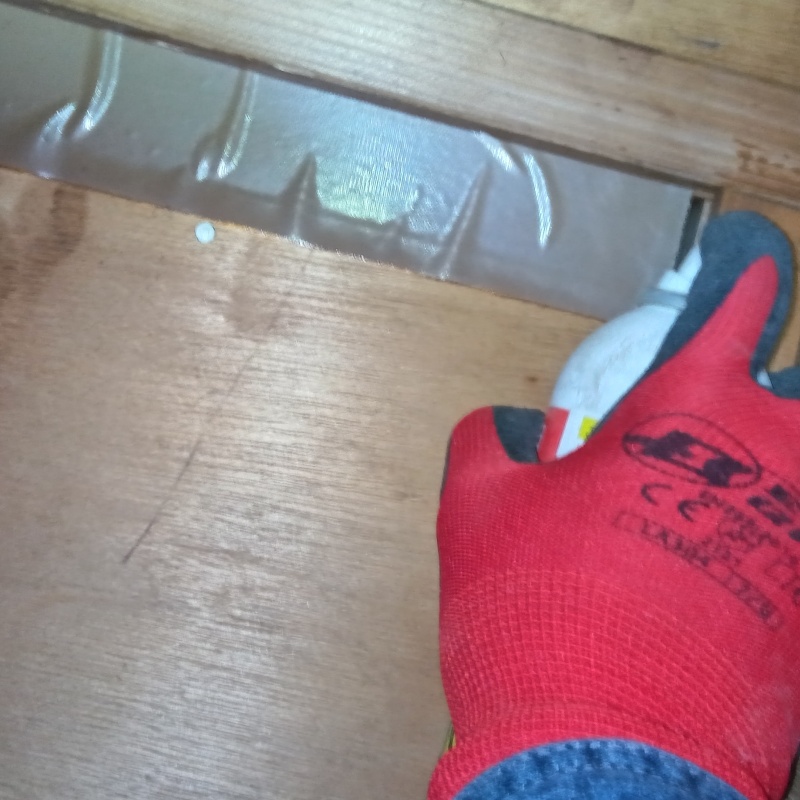 忌避剤をスプレー