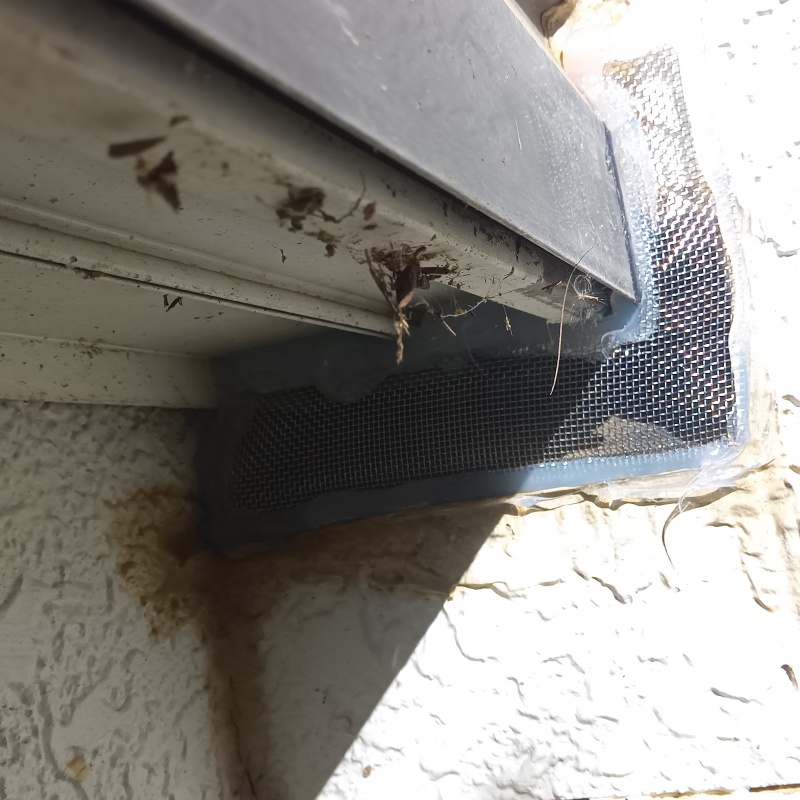 外壁のすき間をネットとパテで封鎖