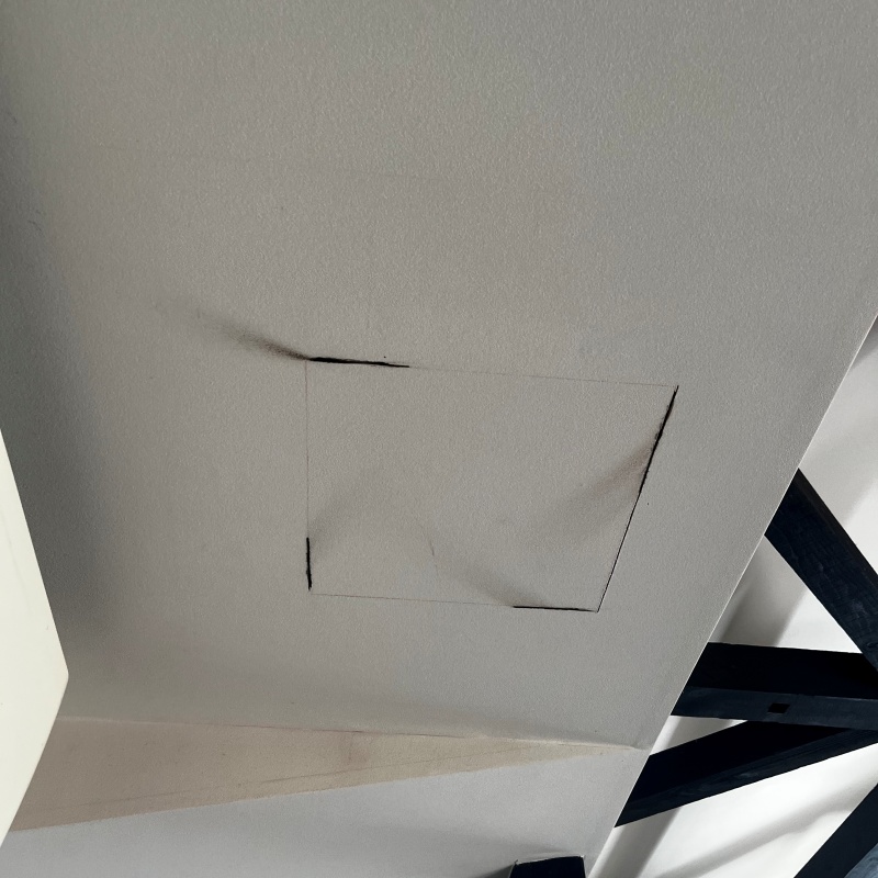 切り込みを入れた様子