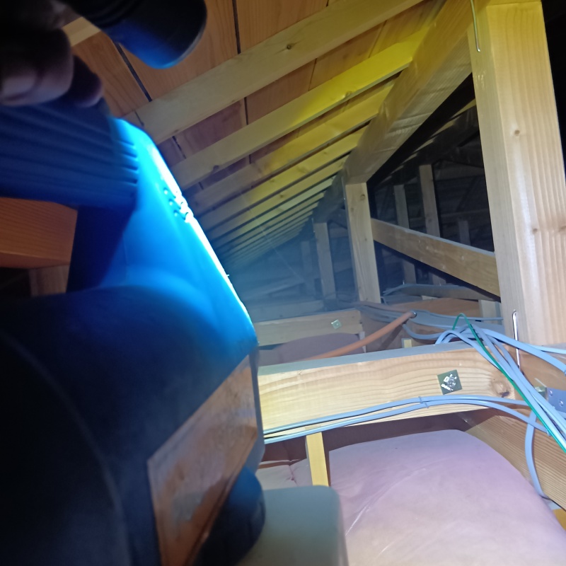 噴霧器で除菌剤を散布