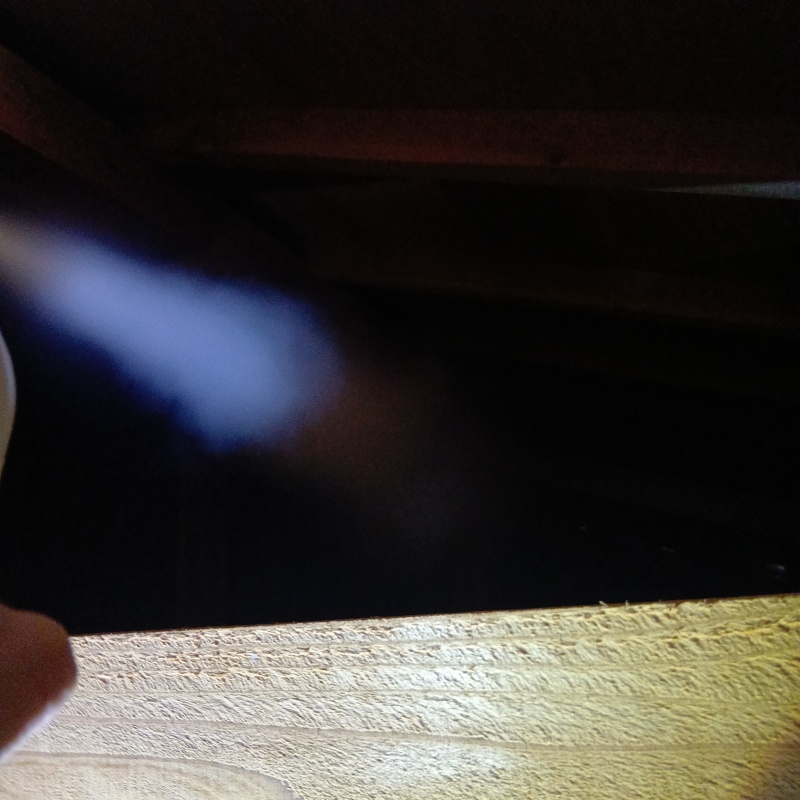 殺虫剤をスプレー