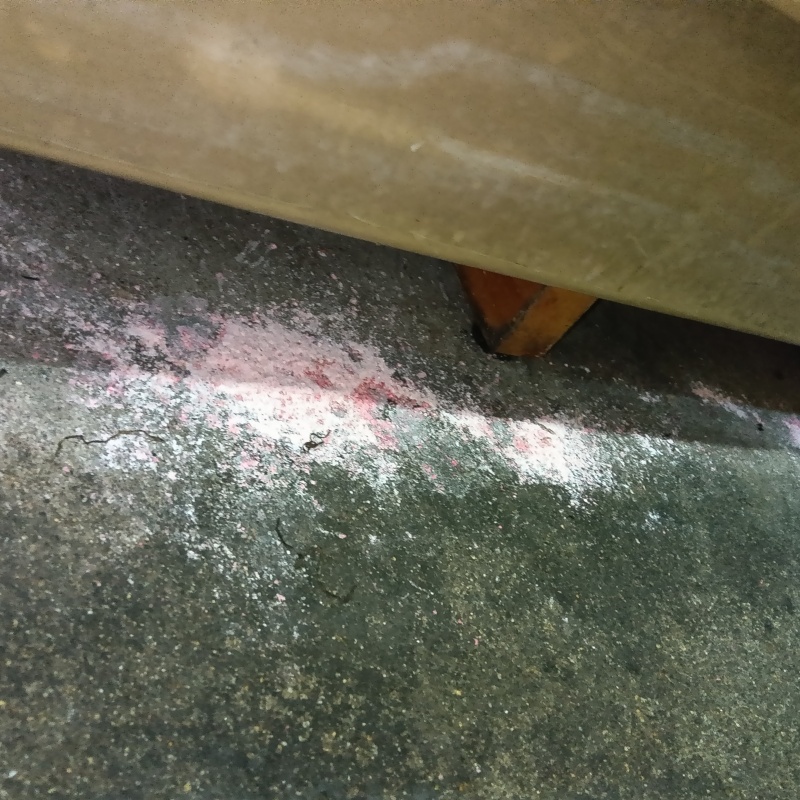 ネズミが殺鼠剤を食べたあと