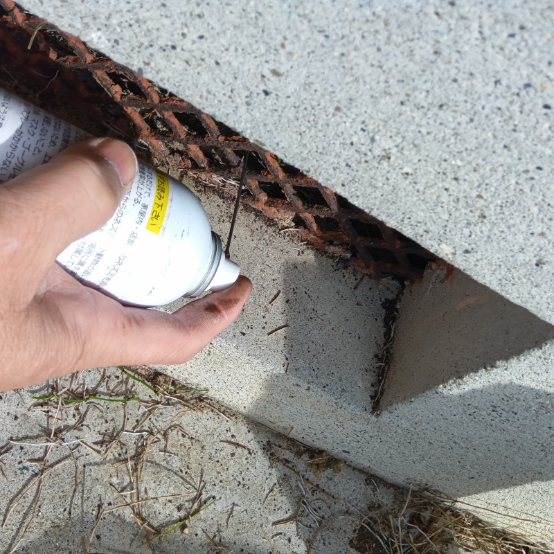 床下換気口から忌避剤をスプレー