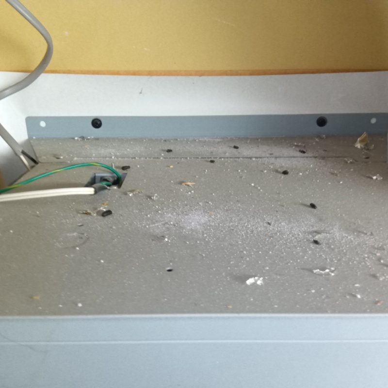 天井裏のフン汚れ