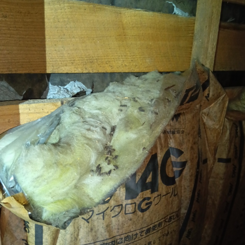 ネズミ駆除の施工事例（山形県米沢市窪田町矢野目）