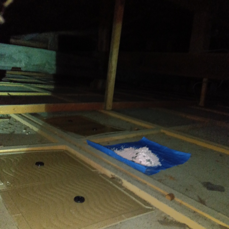 殺鼠剤と粘着シートを設置