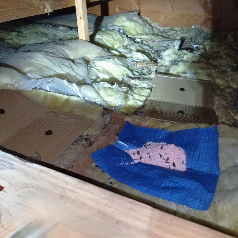 殺鼠剤と粘着シートを設置