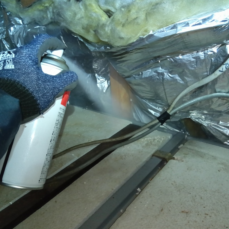 殺虫剤をスプレー