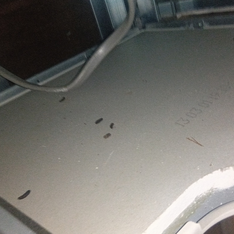 ネズミ駆除の施工事例（千葉県流山市）