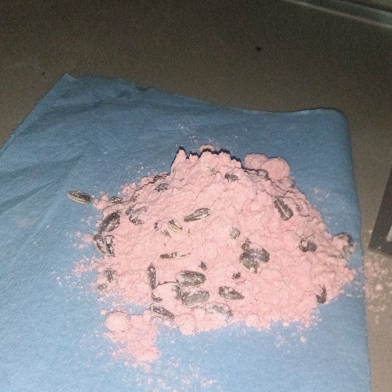 天井裏に殺鼠剤を設置