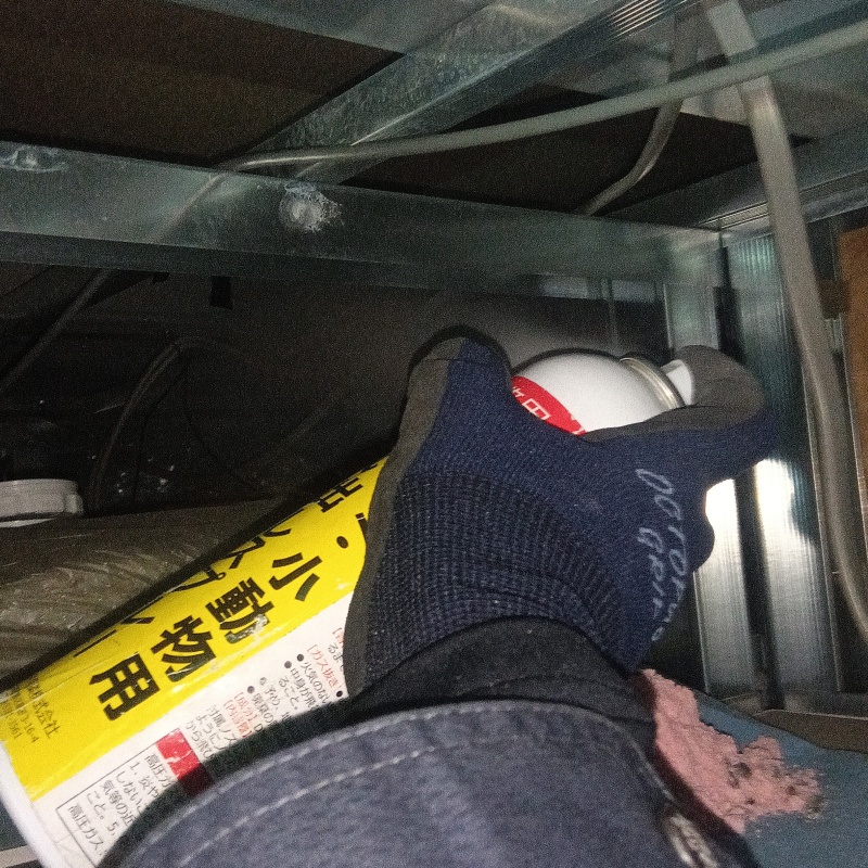 天井裏に忌避剤をスプレー
