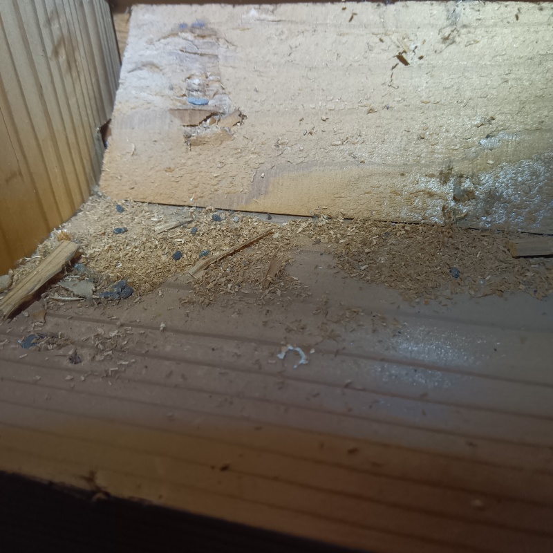 ネズミ駆除の施工事例（新潟県長岡市希望が丘）