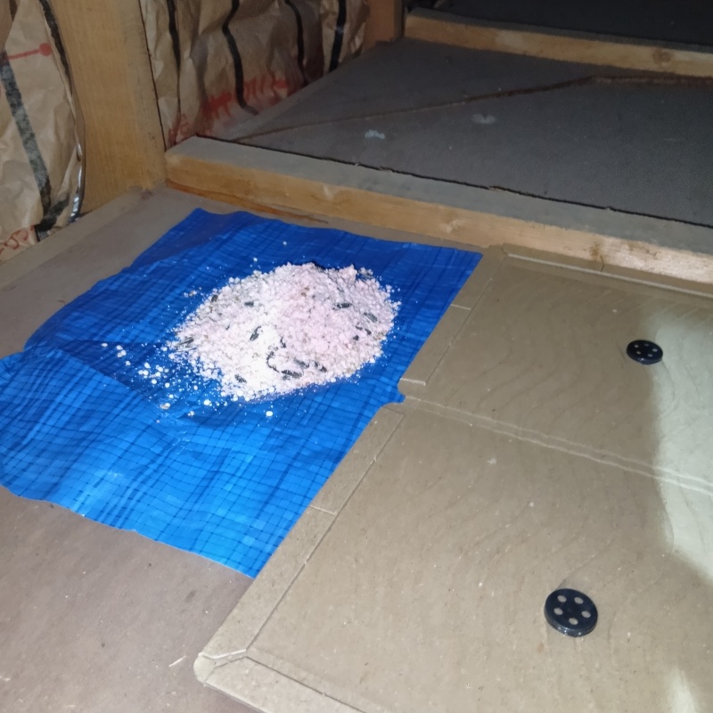 殺鼠剤と粘着シートを設置