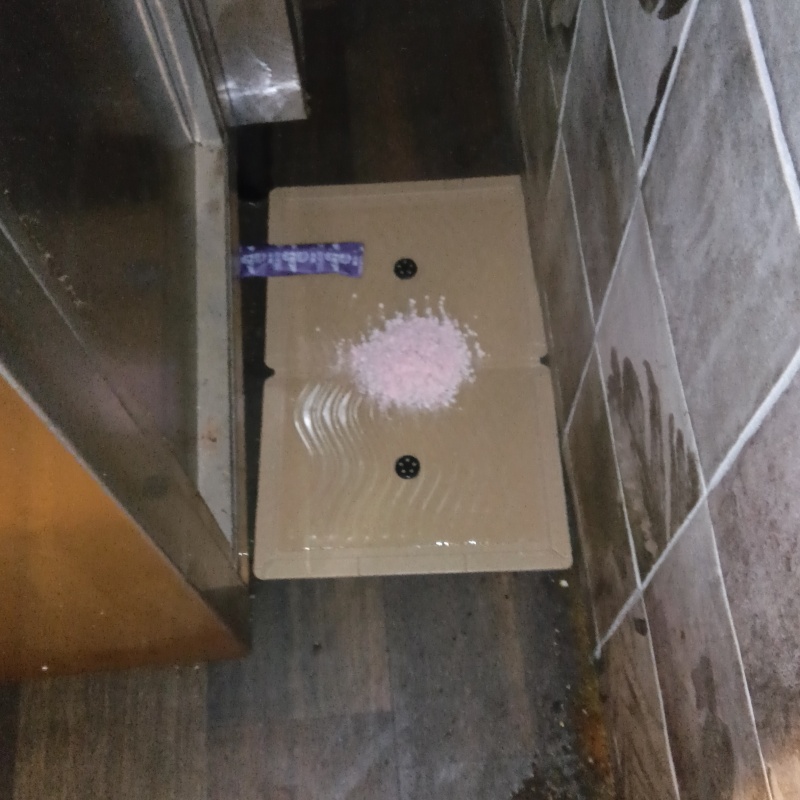 殺鼠剤を盛った粘着シートを壁際に設置