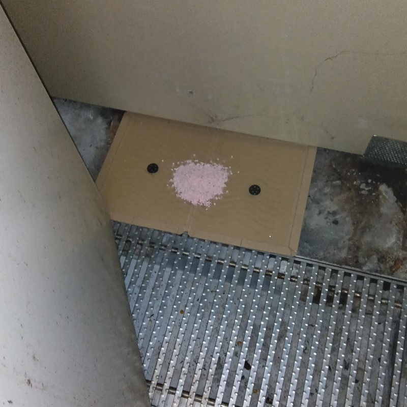 殺鼠剤を盛った粘着シートを壁際に設置