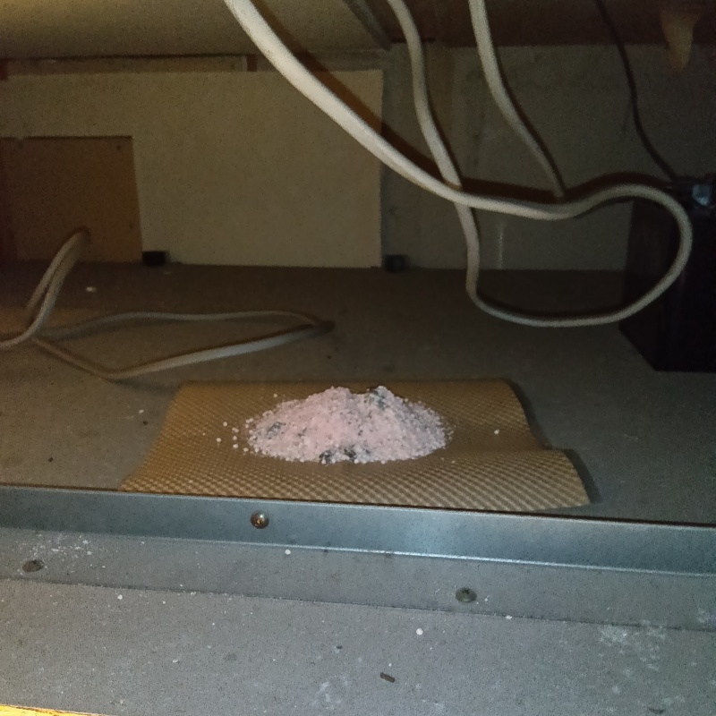 天井裏に殺鼠剤を設置