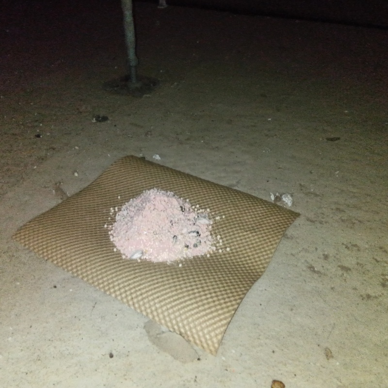 床下に殺鼠剤を設置