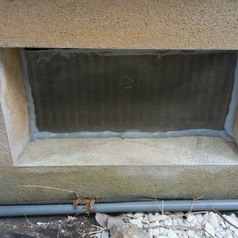 床下換気口をネットとパテで封鎖