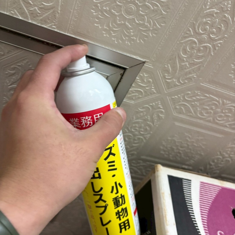天井の点検口から忌避剤をスプレー