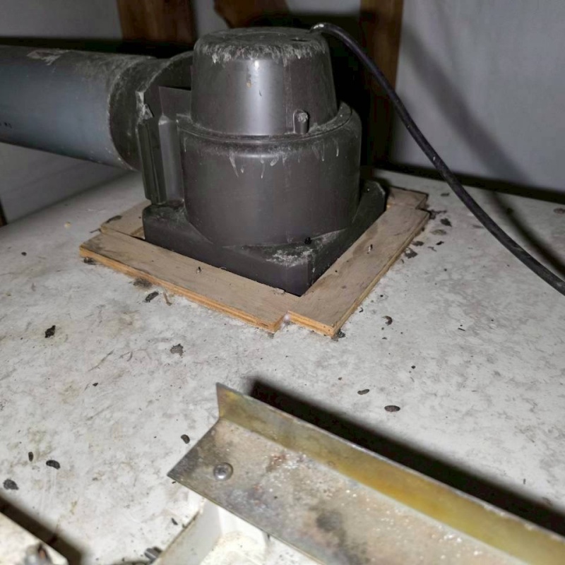 天井裏のフン害