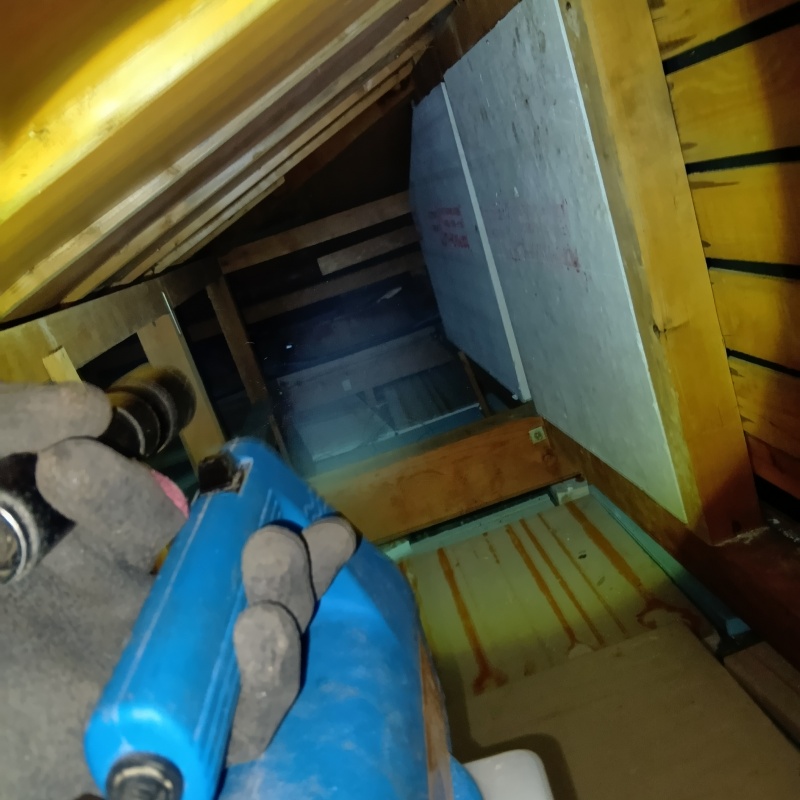 噴霧器で除菌剤を散布