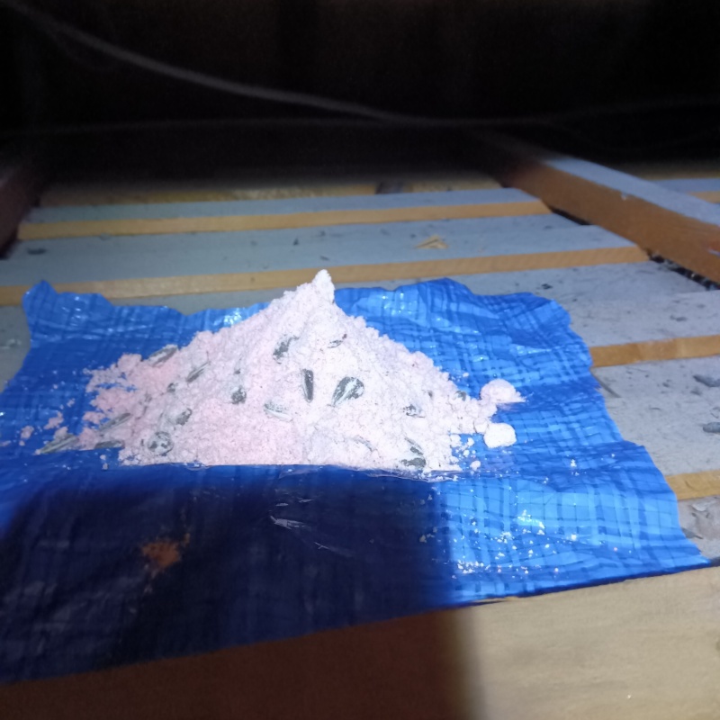 ネズミ駆除の施工事例（新潟県妙高市関川）