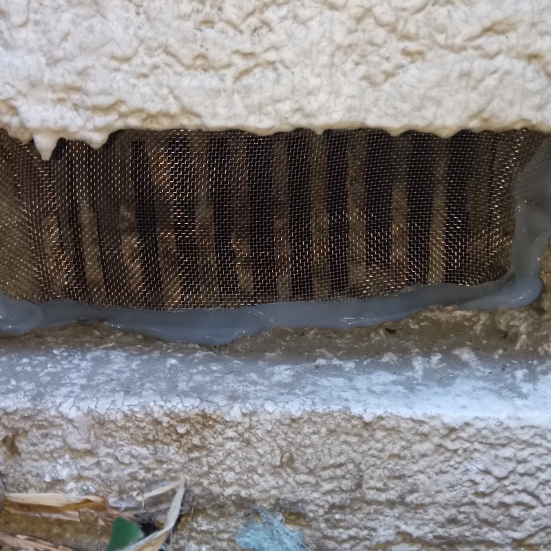 床下換気口をネットとパテで封鎖