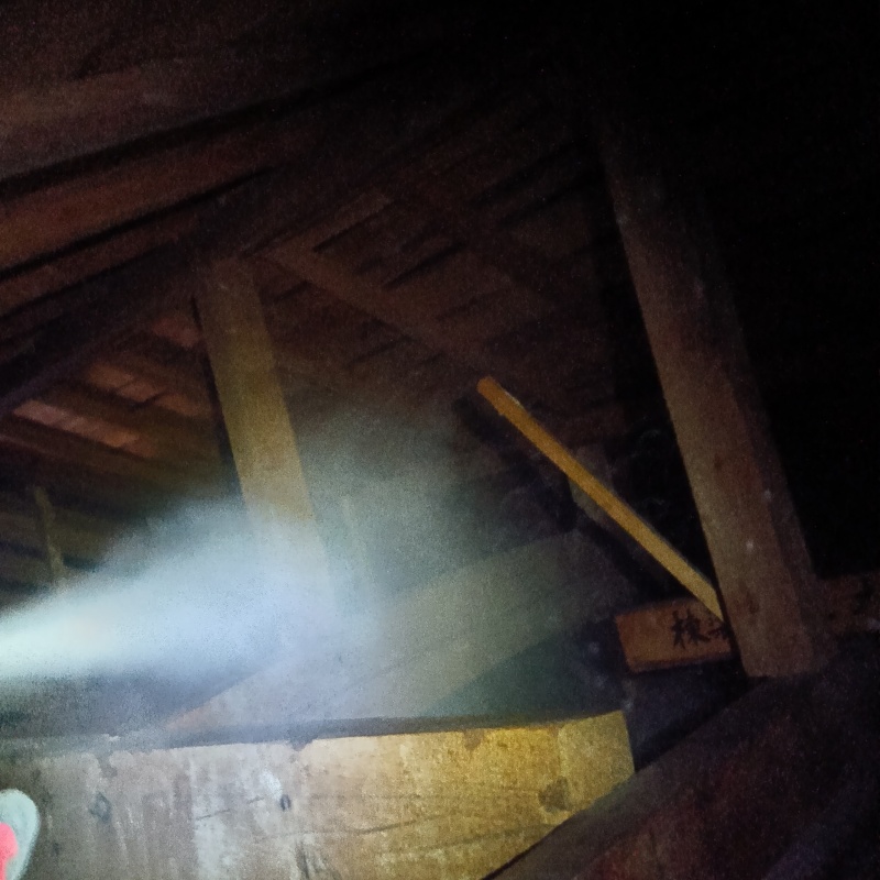 忌避剤をスプレー