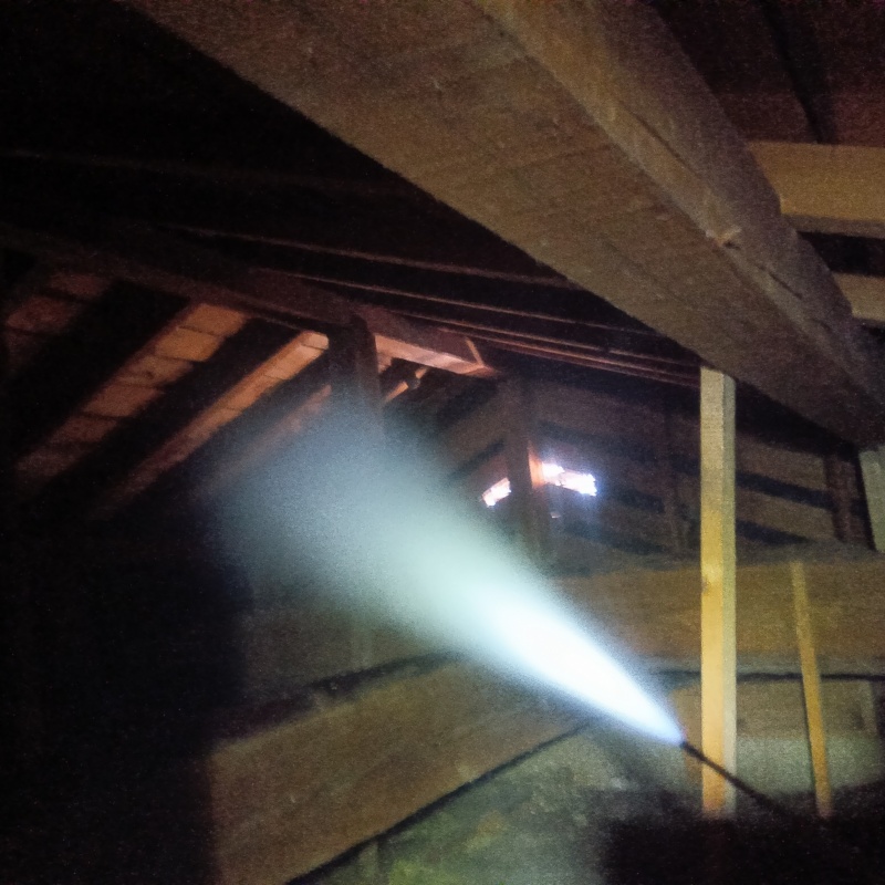 殺虫剤をスプレー