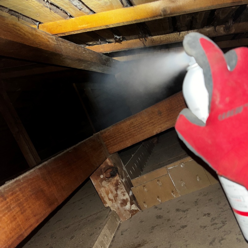 屋根裏に忌避剤をスプレー