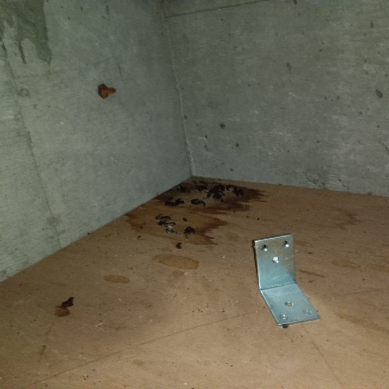 ネズミ駆除の施工事例（宮城県仙台市泉区館）